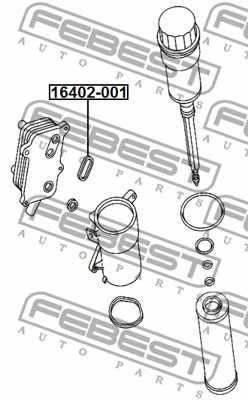 Gasket, oil cooler