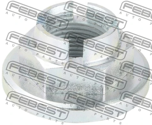 Nut, wheel hub (0598-NHUB02)