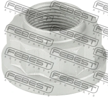 Nut, wheel hub (1698-NHUB02)