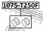 Repair Kit, brake caliper (1075-T250F)