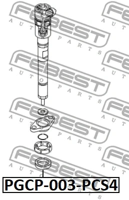Seal Ring, injector