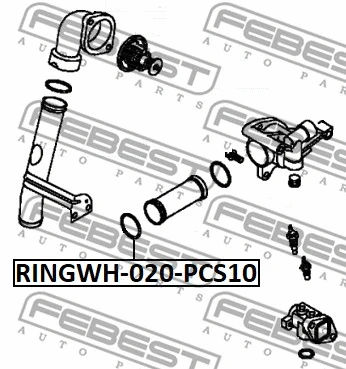 Gasket, coolant flange