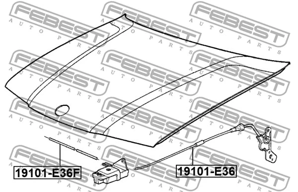 Bonnet Cable (19101-E36)