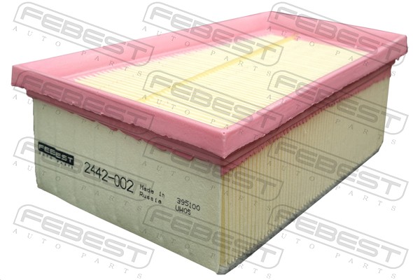 Air Filter (2442-002)