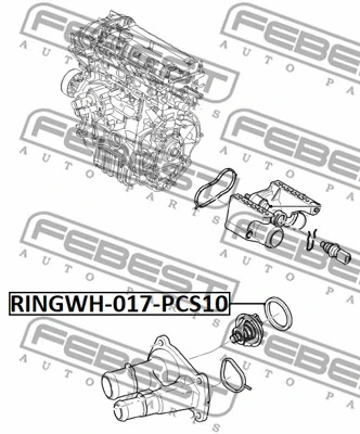 Gasket, coolant flange