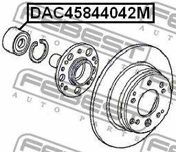 Wheel Bearing