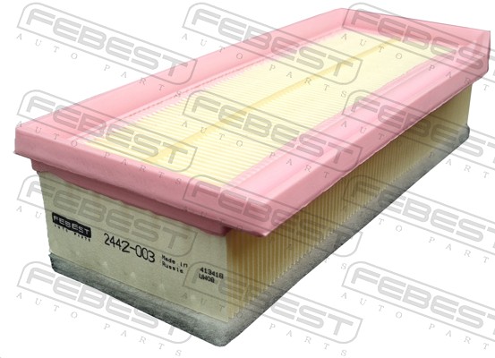 Air Filter (2442-003)