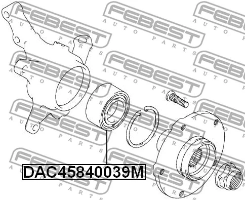 Wheel Bearing