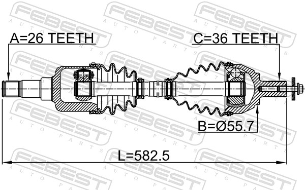Drive Shaft