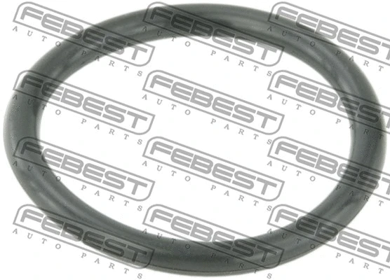 Gasket, coolant flange (RINGWH-B5)