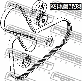 Tensioner Pulley, V-ribbed belt