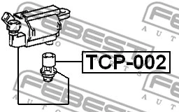 Plug, coil