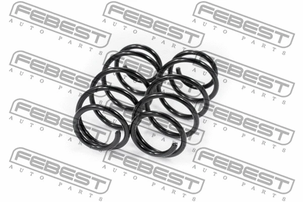 Suspension Set, springs (1808-008F-KIT)