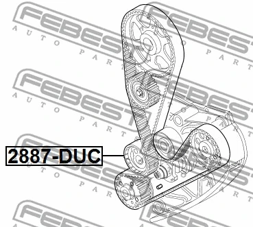 Tensioner Pulley, timing belt