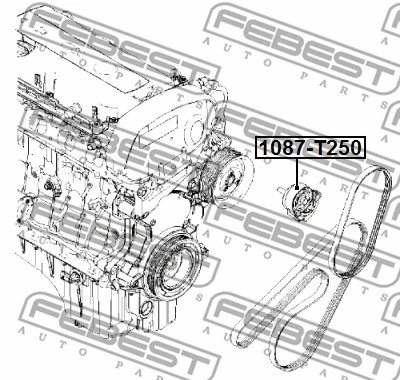 Tensioner Pulley, V-ribbed belt