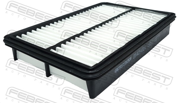 Air Filter (0542-001)