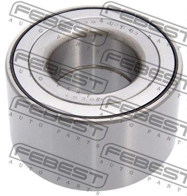 Wheel Bearing (DAC38760043)