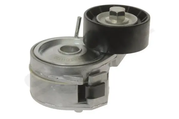 Tensioner Lever, V-ribbed belt (RS D11120)