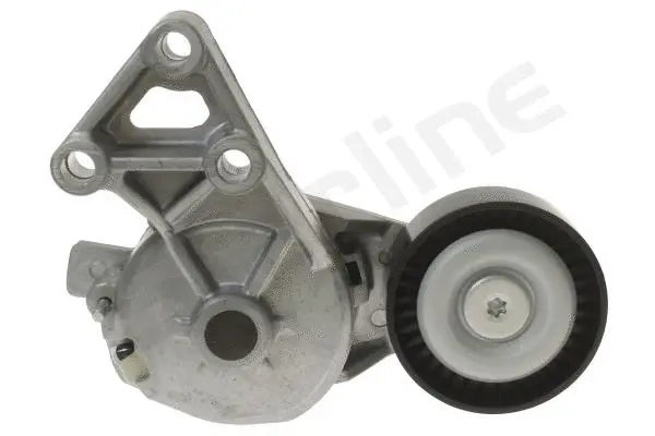 Tensioner Lever, V-ribbed belt (RS D13230)