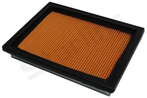 Air Filter (SF VF2195)
