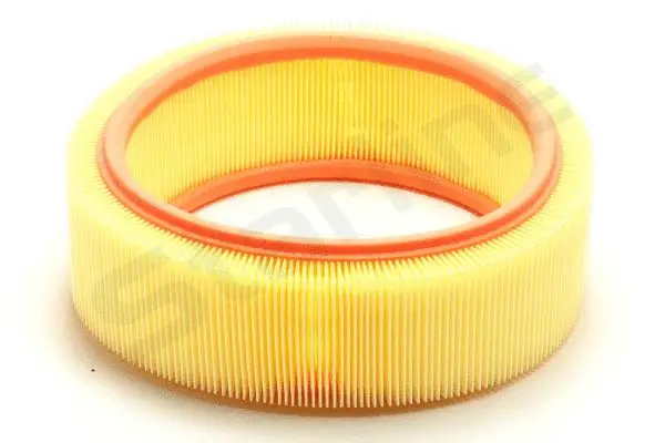 Air Filter (SF VF2531)