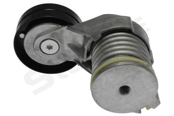 Tensioner Lever, V-ribbed belt