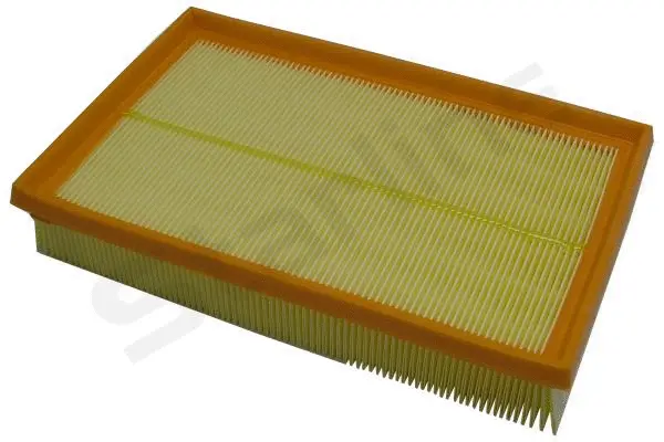 Air Filter (SF VF3818)