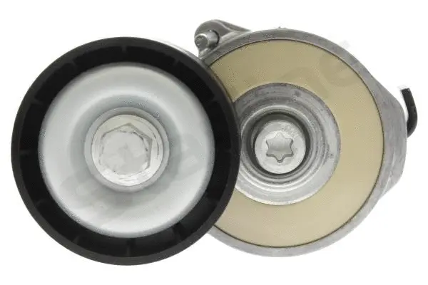 Tensioner Lever, V-ribbed belt