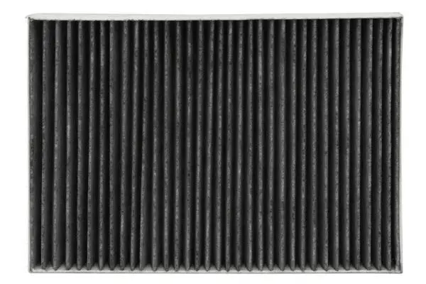 Filter, cabin air (SF KF9381C)