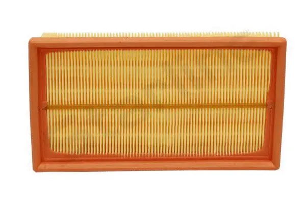 Air Filter (SF VF2081)
