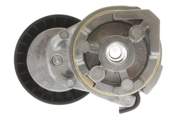 Tensioner Lever, V-ribbed belt (RS C06120)