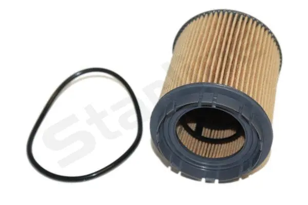 Oil Filter (SF OF0970)