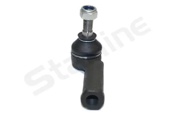 Tie Rod End (20.31.721)