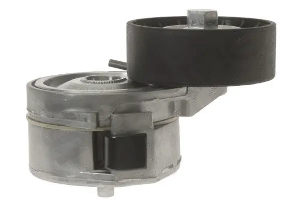 Tensioner Lever, V-ribbed belt