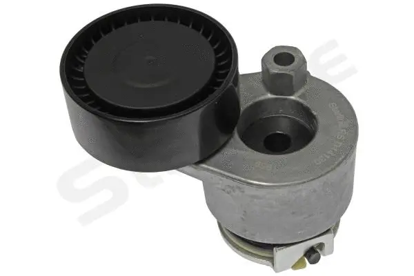Tensioner Lever, V-ribbed belt