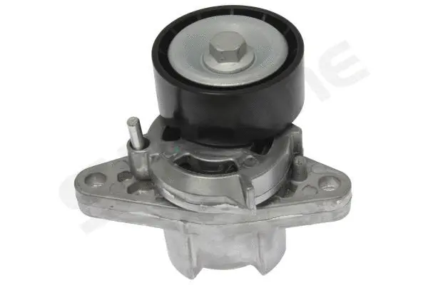 Tensioner Lever, V-ribbed belt (RS D27110)