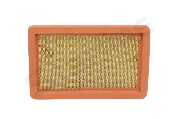 Air Filter (SF VF2216)