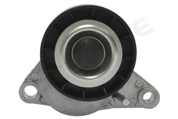 Tensioner Lever, V-ribbed belt