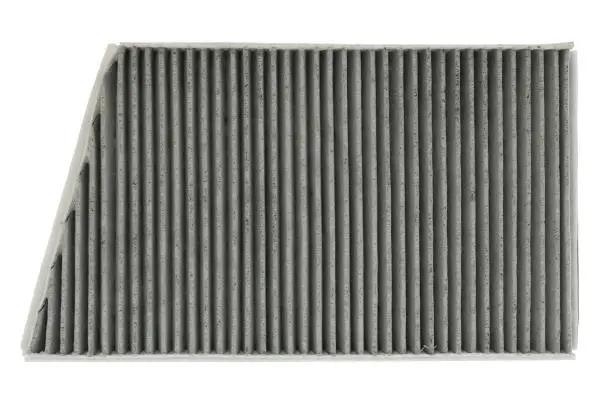 Filter, cabin air (SF KF9489C)