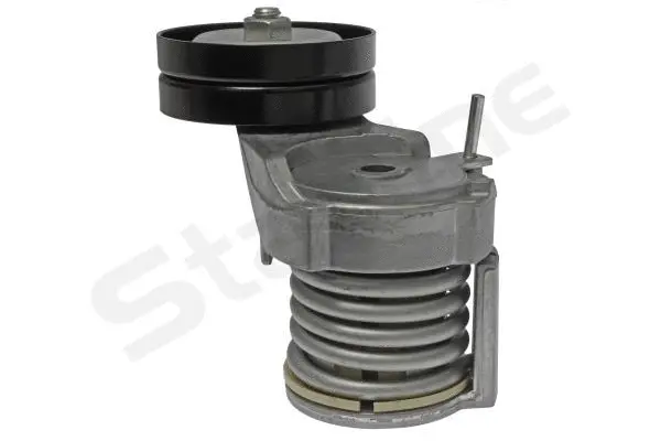 Tensioner Lever, V-ribbed belt (RS D13830)