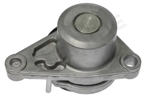 Tensioner Lever, V-ribbed belt (RS D25010)