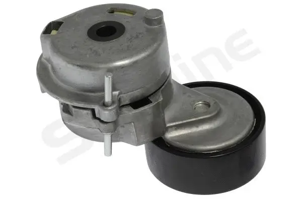 Tensioner Lever, V-ribbed belt (RS D05310)