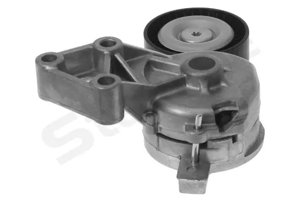 Tensioner Lever, V-ribbed belt