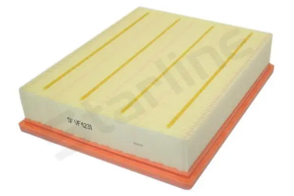 Air Filter (SF VF4231)