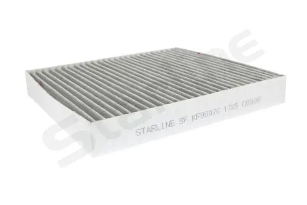 Filter, cabin air (SF KF9607C)