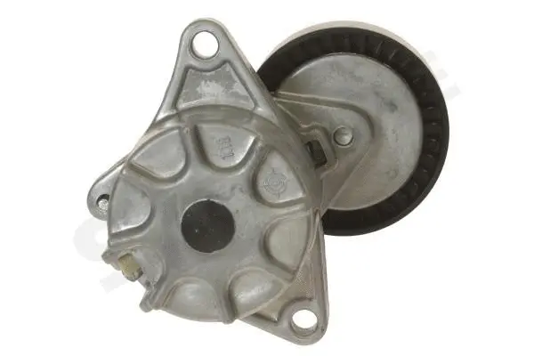 Tensioner Lever, V-ribbed belt