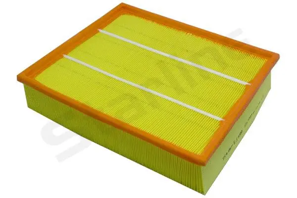 Air Filter (SF VF2084)