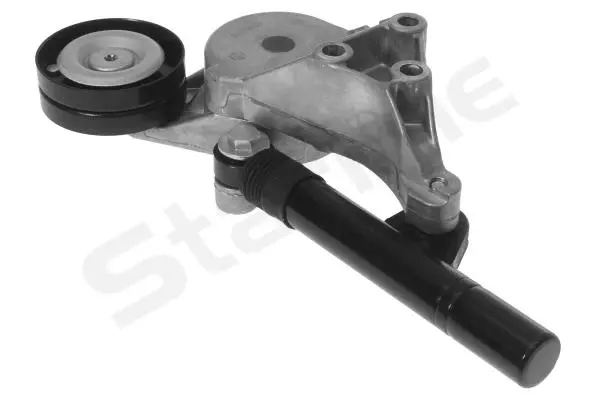 Tensioner Lever, V-ribbed belt