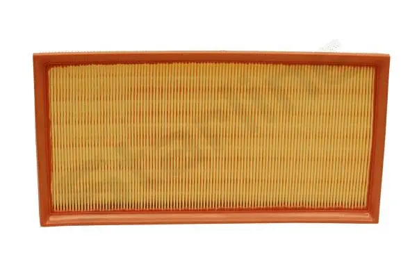 Air Filter (SF VF2009)