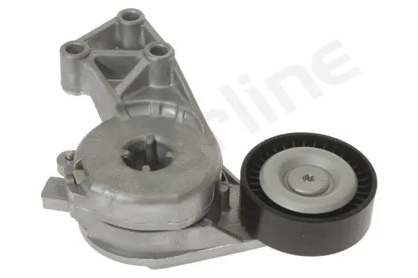 Tensioner Lever, V-ribbed belt